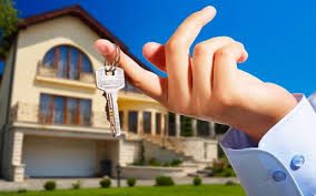 General Property Info